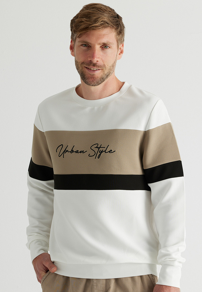 Sweatshirt mit Blockstreifen